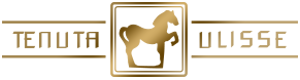 Ulisse