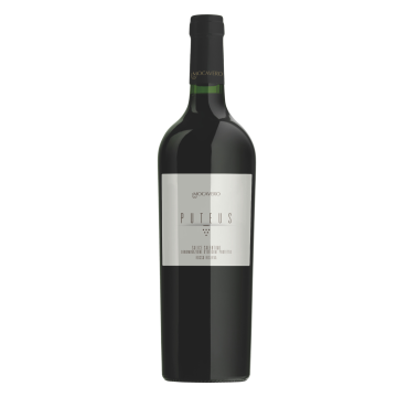 Salice Salentino Riserva dop 'Puteus'