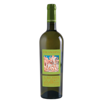 Falanghina Terre degli Osci igt