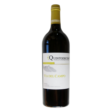 Irpinia Falanghina doc 'Via del Campo' 