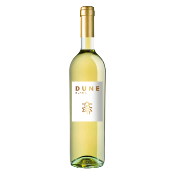 Guerrouane aog Blanc 'Dune'