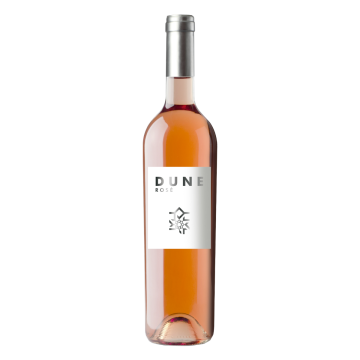 Guerrouane aog Rose 'Dune'
