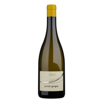 Pinot Grigio Weinberg Dolomiten igt 'Andrian'