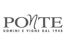 Ponte